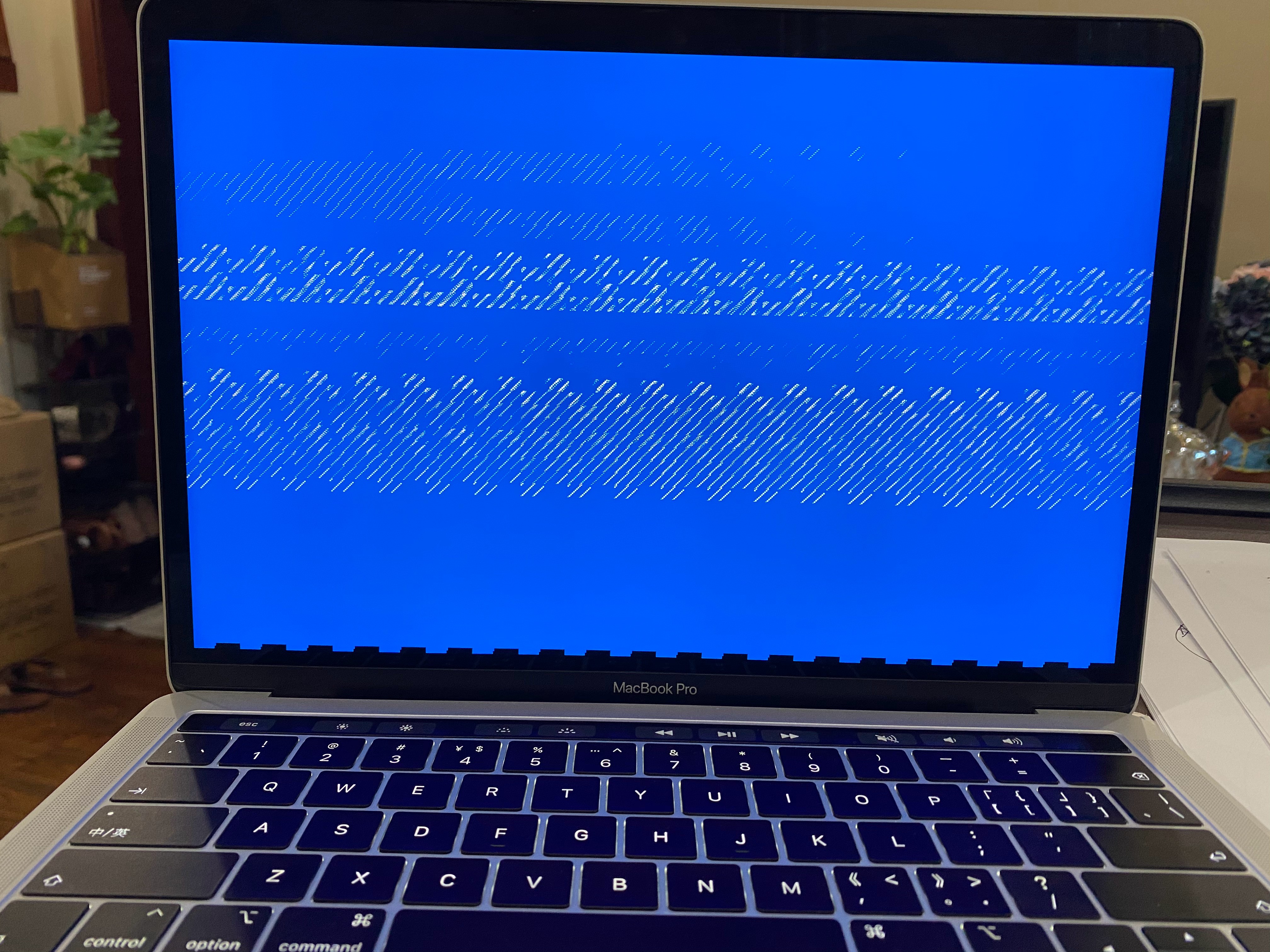 问题问macbookpro隔一段时间开机就会出现蓝屏怎么解决如图