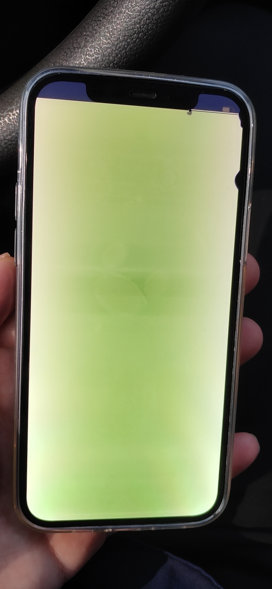 求助保修期内的12出现了大绿屏