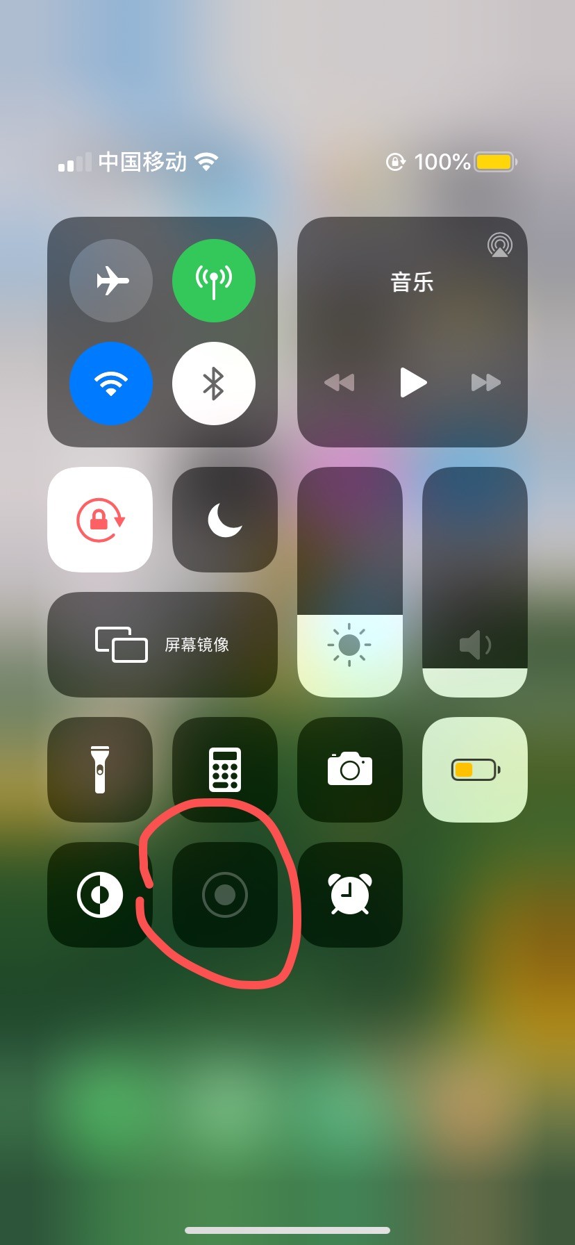 ios 131  无法录屏